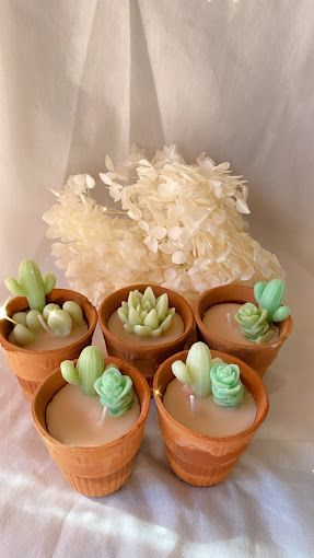 24 Degress Decor